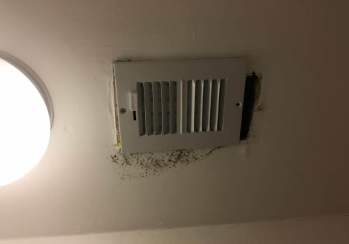 The Negative Effects of Mold on Air Vents: What You Need to Know