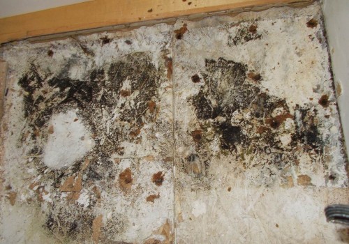 Can Black Mold Be Removed from Ductwork? - A Professional Guide